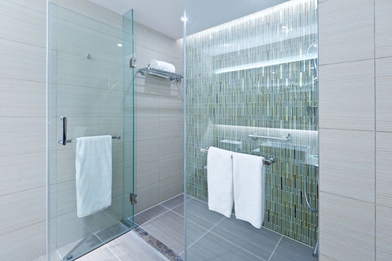 Stylish Frameless Shower Door